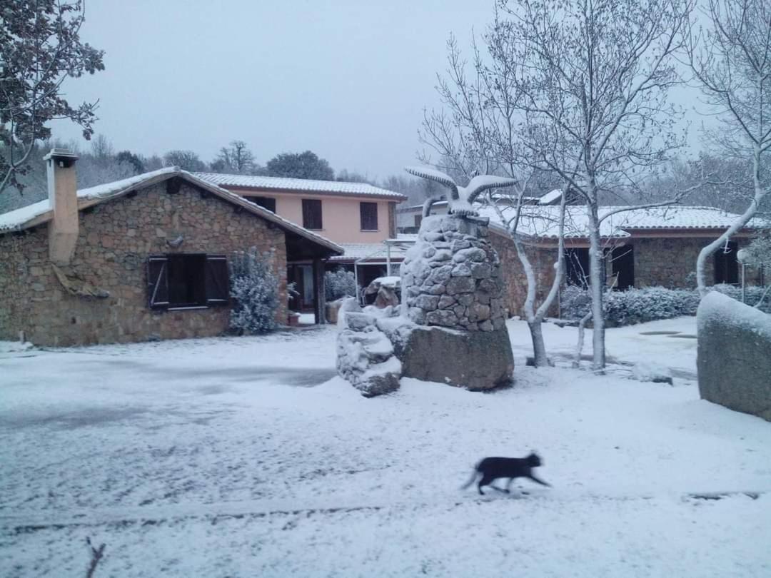 Hotel Il Nido Dell'Aquila Villanova Strisaili 외부 사진